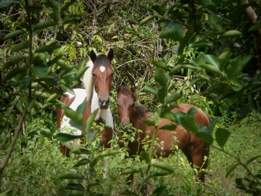 P1120574